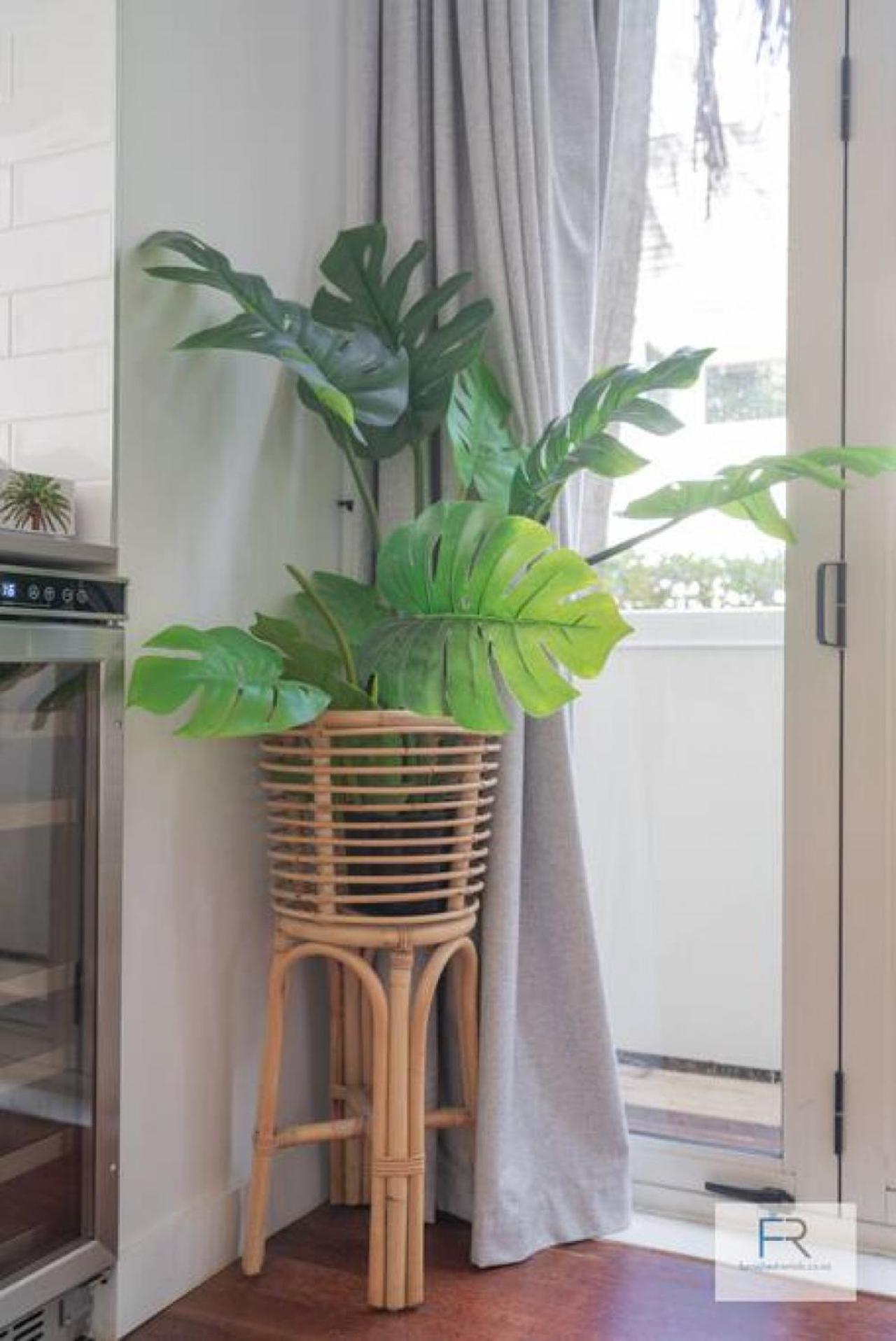 Chic Parnell Townhouse Auckland Exterior foto